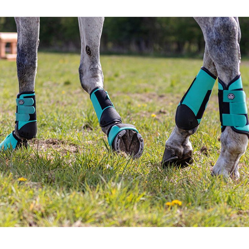 QHP Eventing boots front leg technical - Mint Green-2